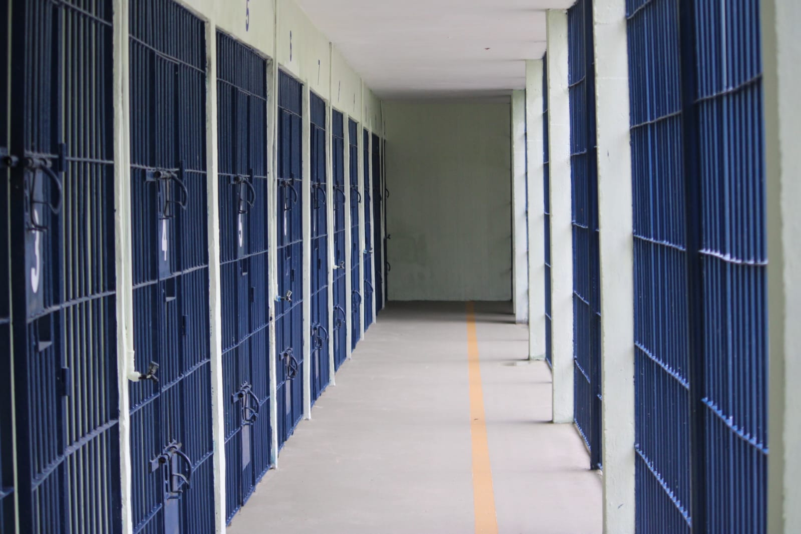 Agenda das Sessões do Conselho Penitenciário em Janeiro de 2025
