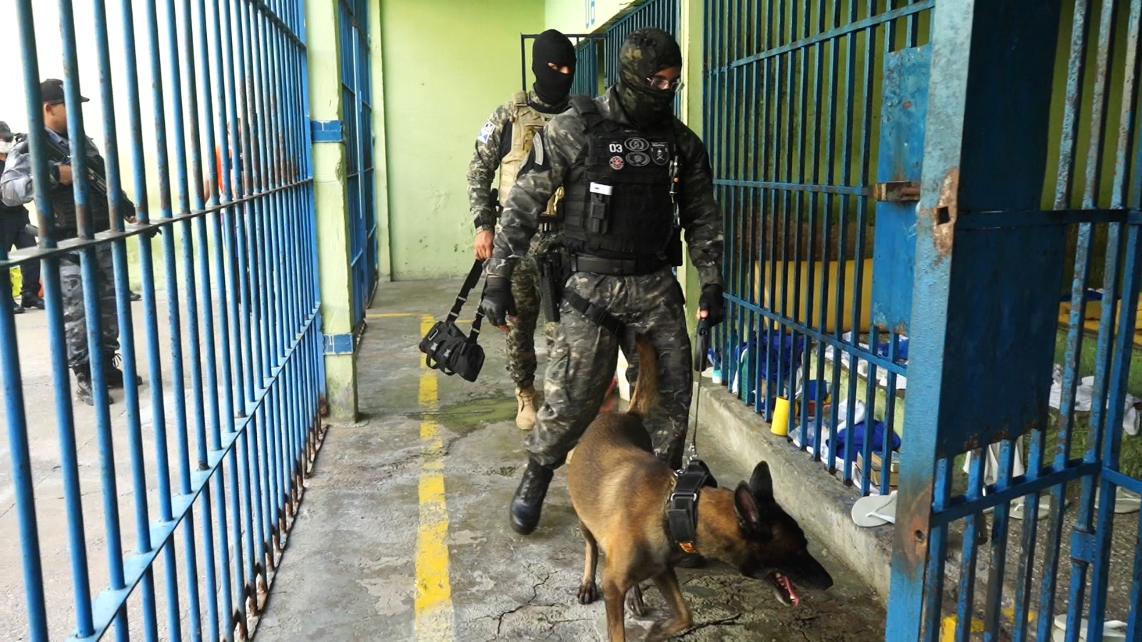 Sejus intensifica vistorias com uso de cães farejadores em presídios de Teresina